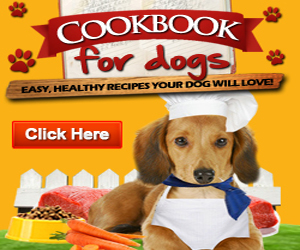 Dog Food Cookbook